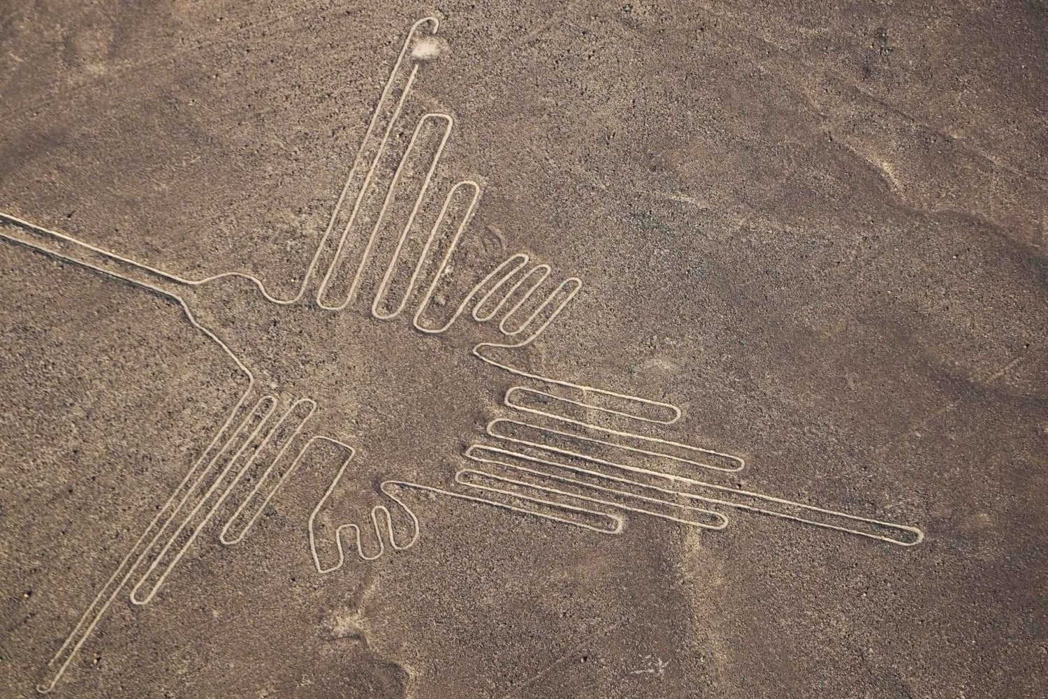 Nazca Lines Flight - Mystical Fly - Airplane Tour on Nasca