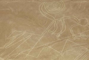 Nazca Lines Flight - Mystical Fly - Airplane Tour on Nasca