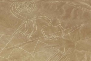Dia inteiro nas Linhas de Nazca saindo de Lima: sobrevoe os geoglifos místicos