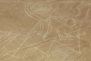Nazca-viivat - Tarkkaile salaperäisiä viivoja taivaalta käsin.