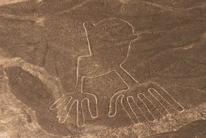 Lignes de Nazca - Observez les mystérieuses lignes depuis le ciel.