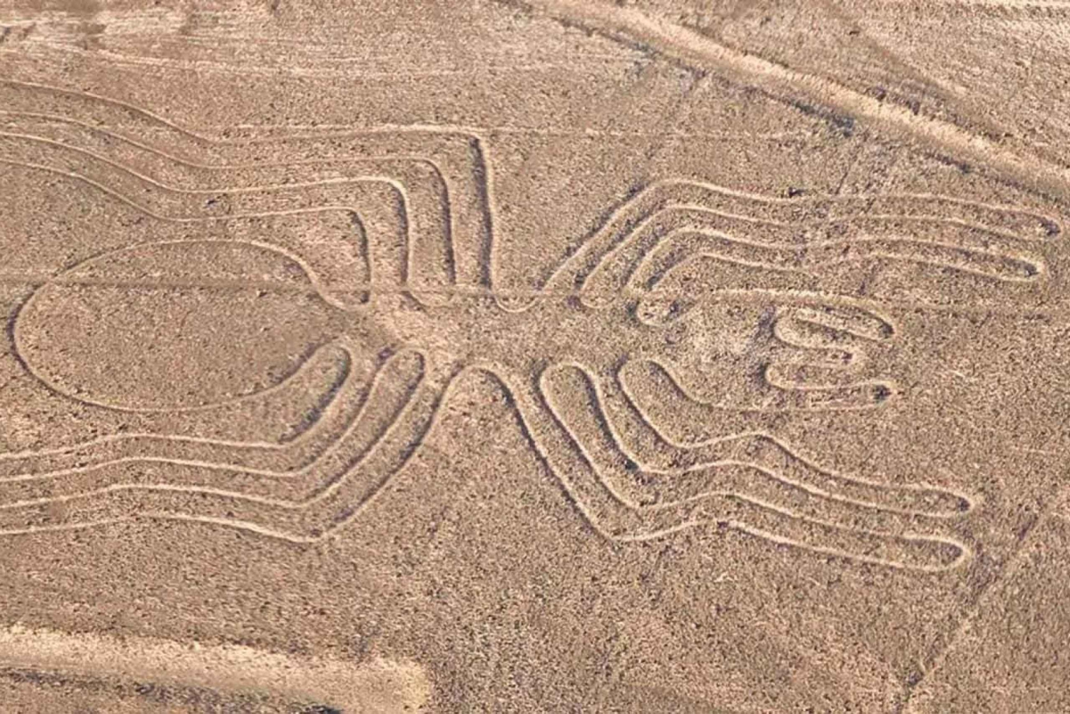 Vol en avion sur les lignes de Nazca