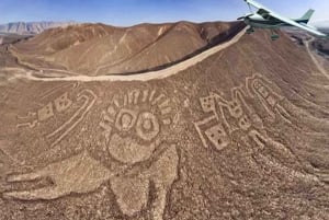 Paseo en avioneta por las Líneas de Nazca