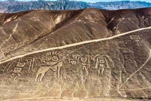Paseo en avioneta por las Líneas de Nazca