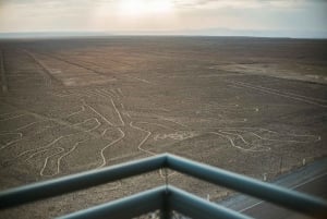 Nazca: Maria Reiche Museum und Nazca Lines Viewpoint Tour