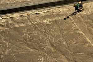 Nazca: Maria Reiche Museum und Nazca Lines Viewpoint Tour