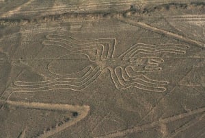 Nazca: Maria Reiche Museum und Nazca Lines Viewpoint Tour