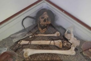 ナスカ：マリア・ライヒ博物館とナスカの地上絵展望台