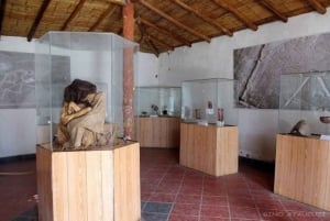 ナスカ：マリア・ライヒ博物館とナスカの地上絵展望台
