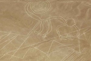Dia inteiro nas maravilhas de Nazca: Linhas de Nazca + Aquedutos de Cantalloc