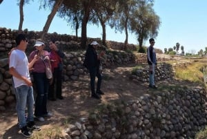 Giornata intera dedicata alle meraviglie di Nazca: linee di Nazca + acquedotti di Cantalloc