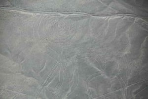 Nazca: Nazca Lines Flight with Hotel Pickup