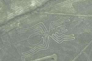Nazca: Nazca Lines Flight with Hotel Pickup