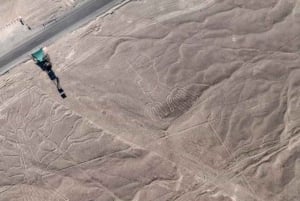Nazca: Nazca Lines Flight with Hotel Pickup