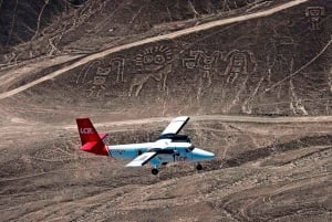 Nazca: Vuelo panorámico sobre las Líneas de Nazca