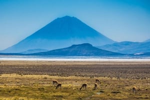 Aanbieding Prijs Tour Salinas Lagoon en Nationaal Reservaat 8 uur