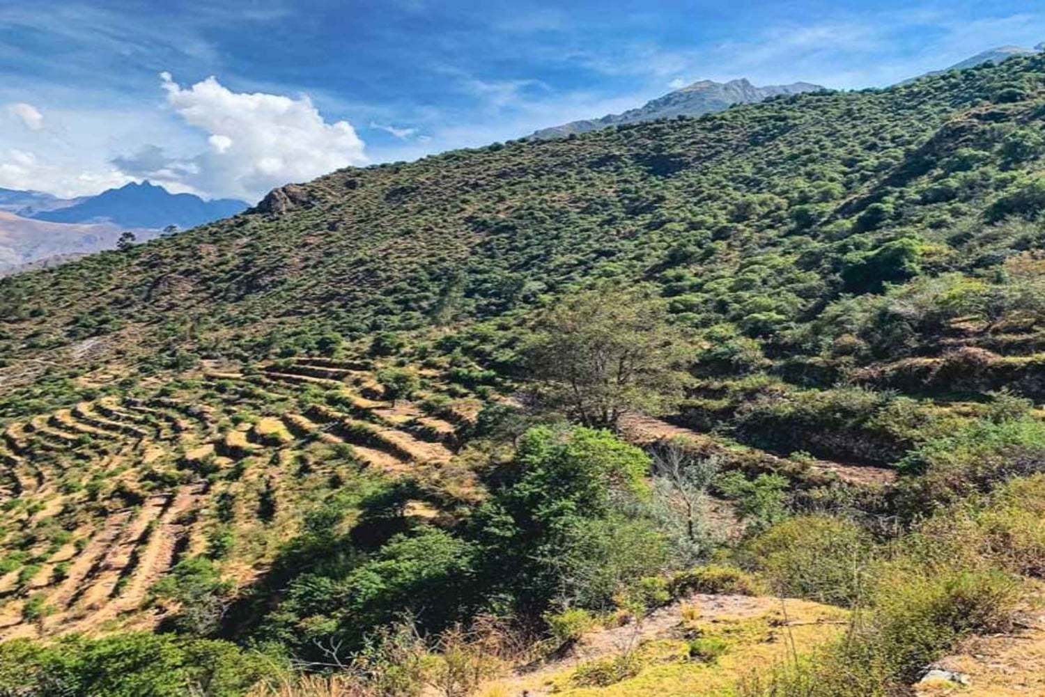 Ollantaytambo: Guided Pumamarka Hike & Local Experience