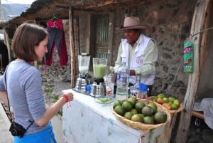 Arequipa: Colca Canyon + Lounas + Siirto Punoon.