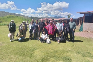 Open bus in Cusco City, 3-hour tour with panoramic views.