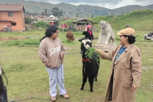 Open bus in Cusco City, 3-hour tour with panoramic views.
