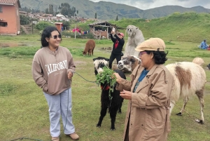 Open bus in Cusco City, 3-hour tour with panoramic views.