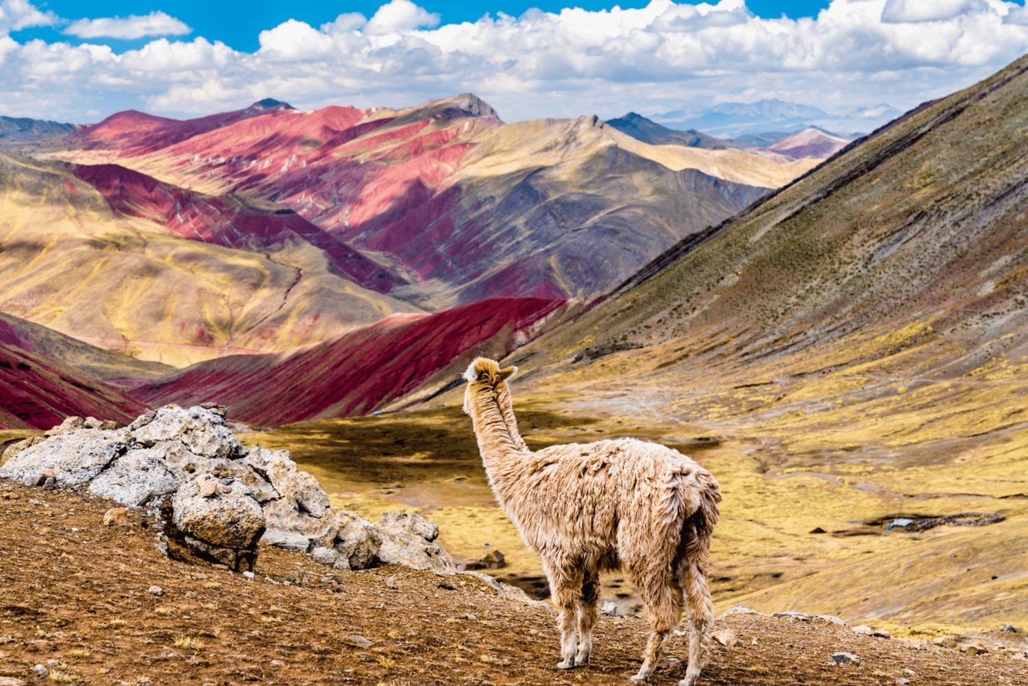 Palccoyo Rainbow Mountain Tour