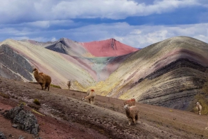 Palccoyo Rainbow Mountain Trek Full Day