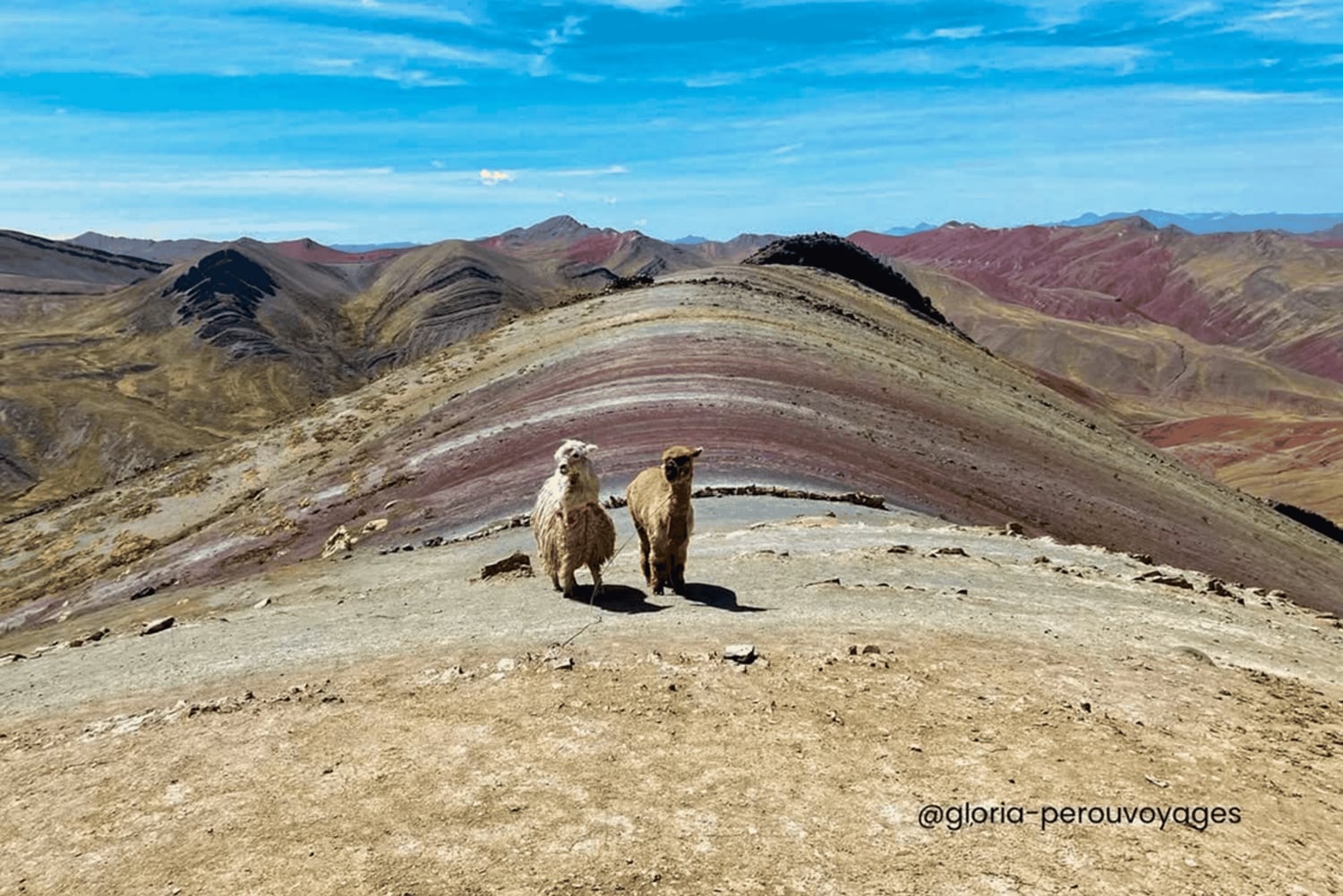 Excursión a la Montaña Palcoyo Día Completo Tour Privado