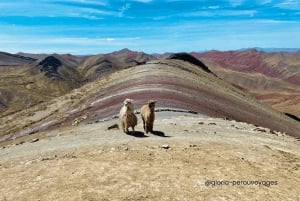 Excursión a la Montaña Palcoyo Día Completo Tour Privado