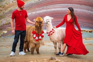 Excursión a la Montaña Palcoyo Día Completo Tour Privado