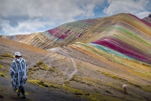 Utflykt 1 dag : *Montaña espléndida de colores Palcoyo*