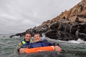 Desde Lima: Islas Palomino, nado con lobos marinos y tour en yate