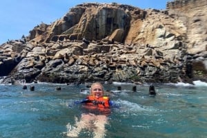 Palomino Island Tour: Swim with Sea Lions & See Wildlife