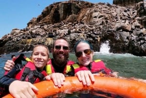 Palomino Island Tour: Swim with Sea Lions & See Wildlife