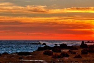 Paracas: Fantastisk solnedgang i Paracas Nationalreservat