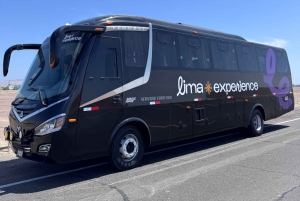 Paracas and Huacachina: Islands, Dune Buggy & Sunset Picnic