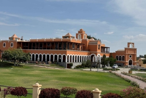 Paracas and Huacachina: Islands, Dune Buggy & Sunset Picnic