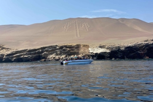 Paracas and Huacachina: Islands, Dune Buggy & Sunset Picnic