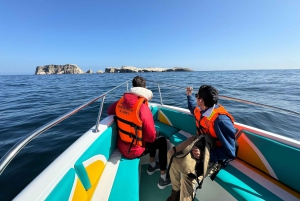 Paracas and Huacachina: Islands, Dune Buggy & Sunset Picnic