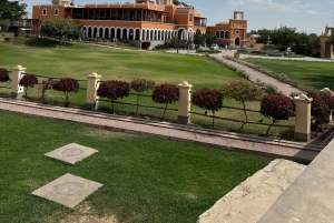 Paracas and Huacachina: Islands, Dune Buggy & Sunset Picnic