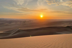 Paracas and Huacachina: Islands, Dune Buggy & Sunset Picnic
