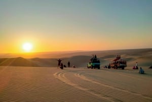 Paracas and Huacachina: Islands, Dune Buggy & Sunset Picnic