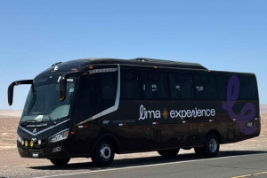 Paracas and Huacachina: Islands, Dune Buggy & Sunset Picnic