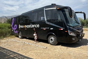 Paracas and Huacachina: Islands, Dune Buggy & Sunset Picnic