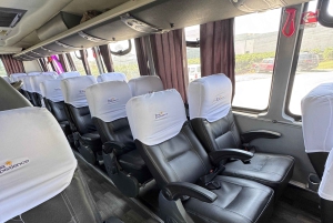 Paracas and Huacachina: Islands, Dune Buggy & Sunset Picnic