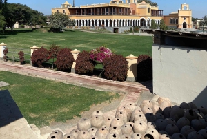 Paracas and Huacachina: Islands, Dune Buggy & Sunset Picnic