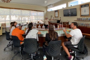 Paracas and Huacachina: Islands, Dune Buggy & Sunset Picnic