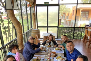 Paracas and Huacachina: Islands, Dune Buggy & Sunset Picnic