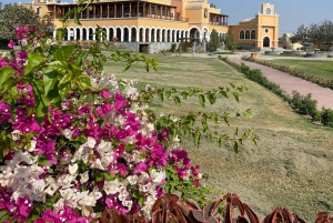 Paracas and Huacachina: Islands, Dune Buggy & Sunset Picnic