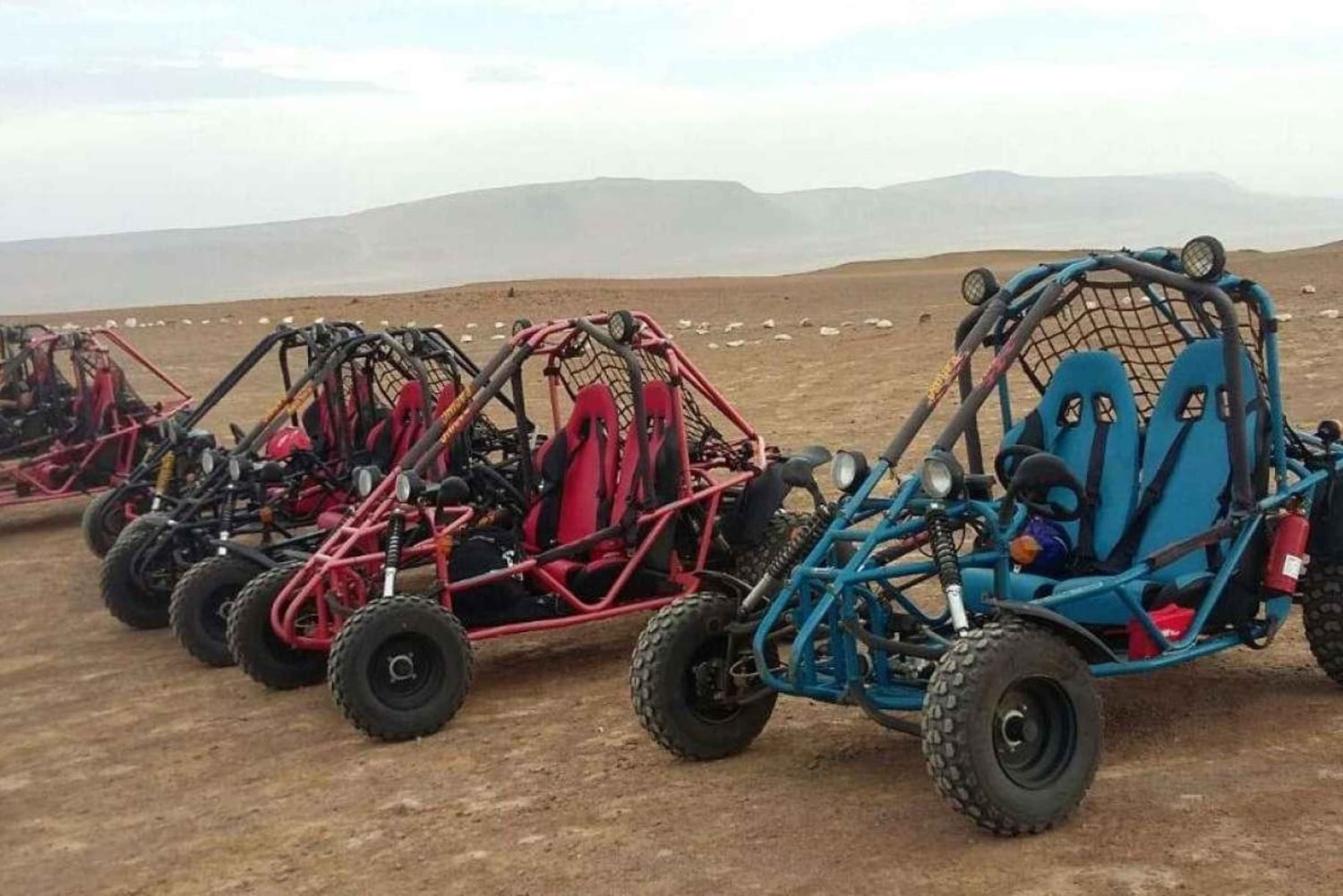 Paracas: ATV/Quad Bike o Buggy en la Reserva Nacional de Paracas